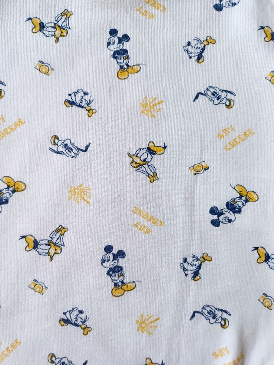 بادی و زیر دکمه مجلسی