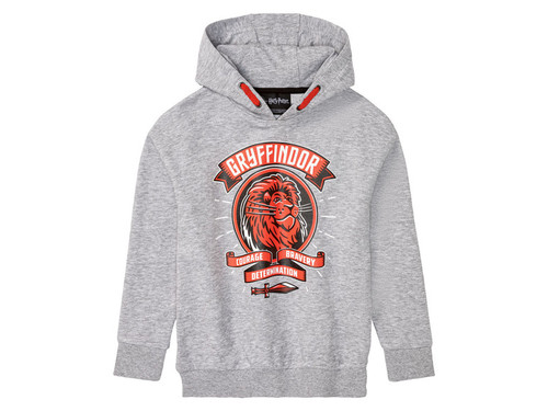 انواع مدل هودی پسرانه